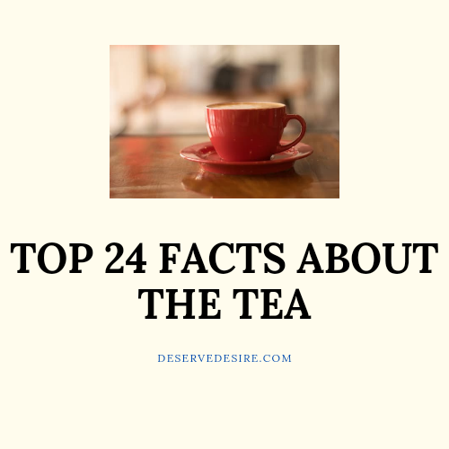 TOp 24 FACTS ABOUT THE TEA