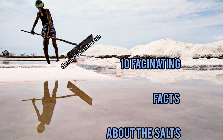 FACINATING FACTS ABOUT THE SALTS